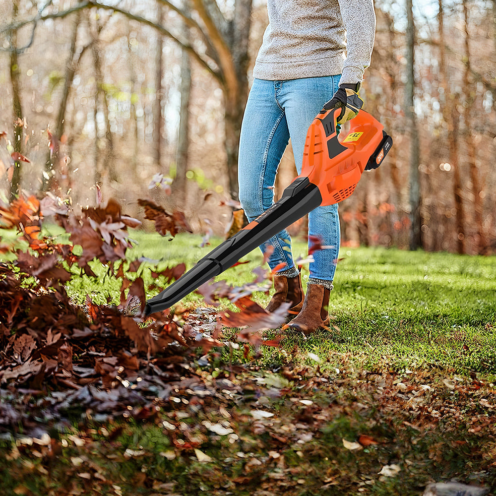 21V Cordless Leaf Blower with Battery and Fast Charger