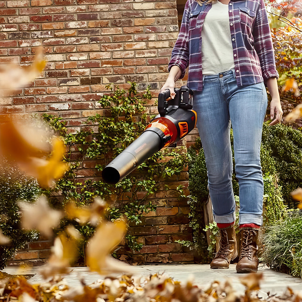 20V Cordless Leaf Blower with Battery and Charger