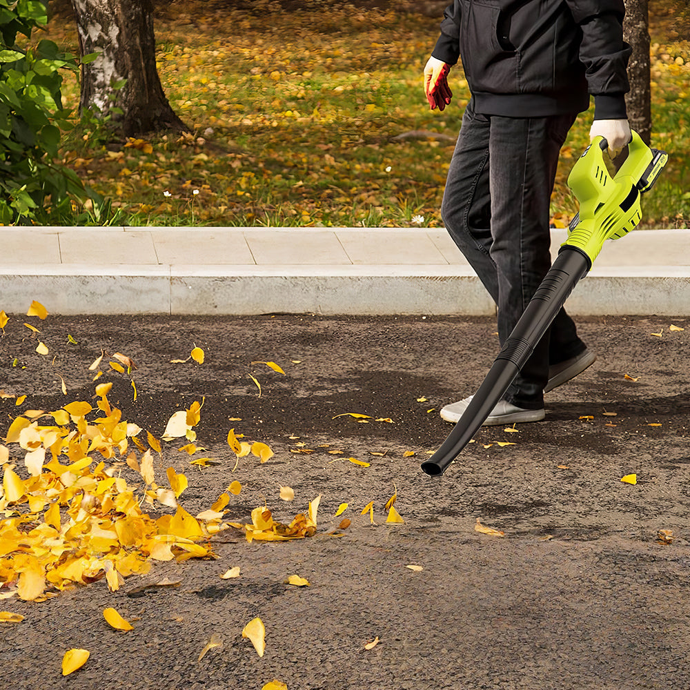 21V Cordless Leaf Blower with 2 Batteries Fast Charger