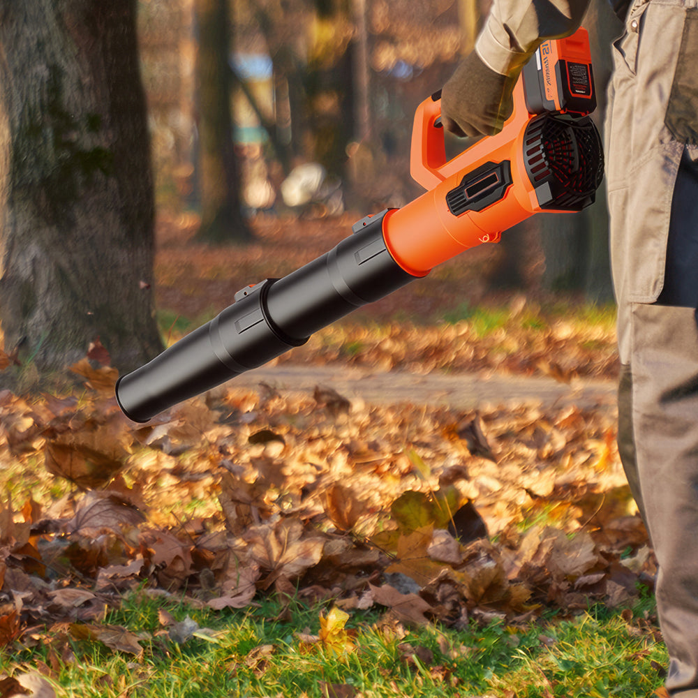 21V Cordless Leaf Blower 2 Batteries Fast Charger