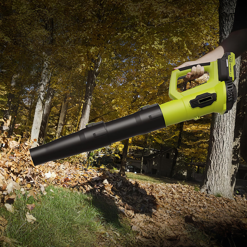 21V Cordless Leaf Blower 2 Batteries Fast Charger