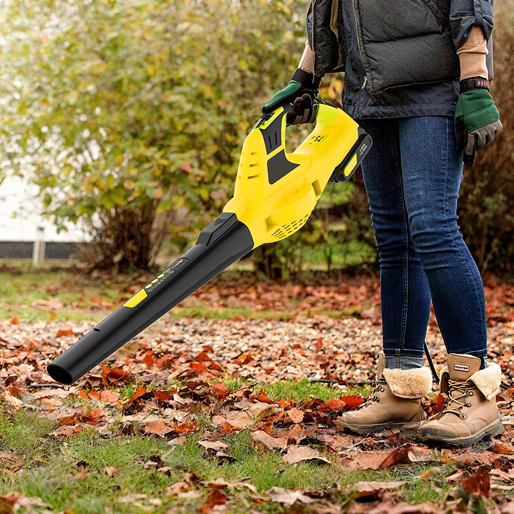 21V Cordless Leaf Blower with Battery and Fast Charger