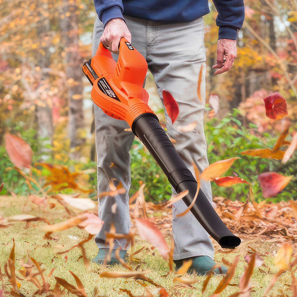21V Cordless Leaf Blower with 2 Batteries Fast Charger