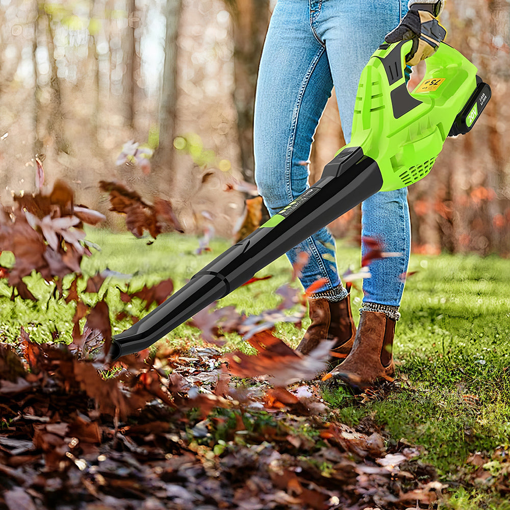 21V Cordless Leaf Blower with Battery and Fast Charger