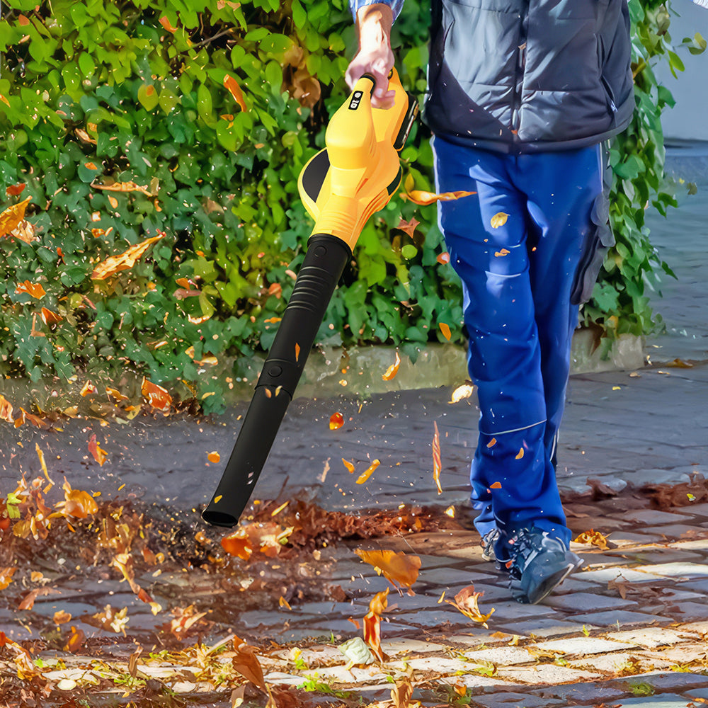 21V Cordless Leaf Blower with 2 Batteries Fast Charger